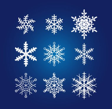 güzel kar tanesi vektör çizim