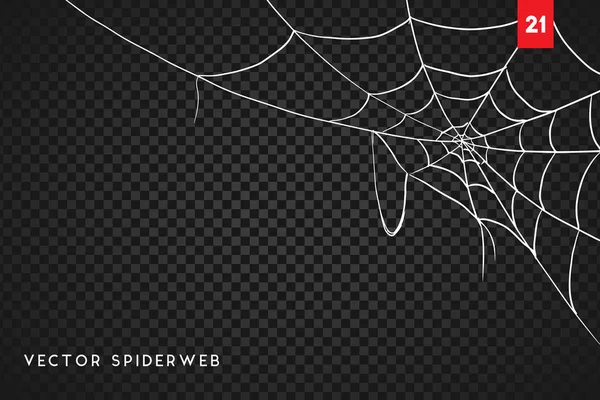 Cobweb Para Diseño Halloween Aislado Sobre Fondo Negro Ilustración Vectorial — Archivo Imágenes Vectoriales