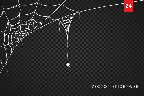 Cobweb Pour Halloween Design Isolé Sur Fond Noir Illustration Vectorielle — Image vectorielle