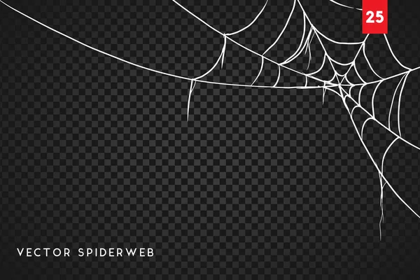 Cobweb Pour Halloween Design Isolé Sur Fond Noir Illustration Vectorielle — Image vectorielle