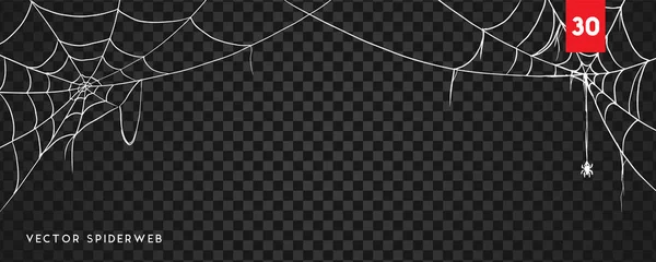 Cobweb Για Σχεδιασμό Απόκριες Απομονώνονται Μαύρο Φόντο Εικονογράφηση Διανύσματος — Διανυσματικό Αρχείο