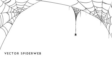 Beyaz zemin üzerinde bir Spiderweb vektör çizim