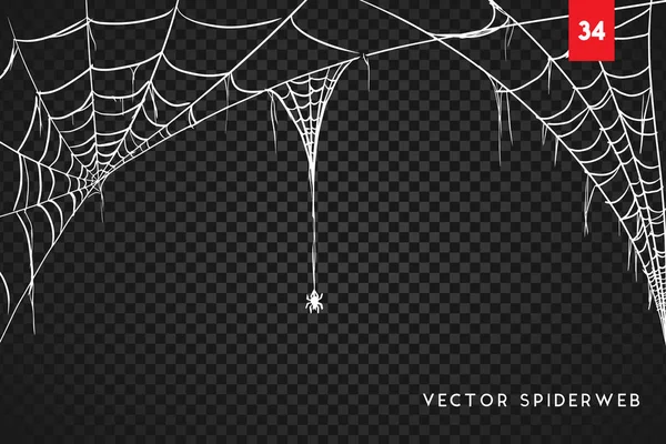 Cobweb Pour Halloween Design Isolé Sur Fond Noir Illustration Vectorielle — Image vectorielle