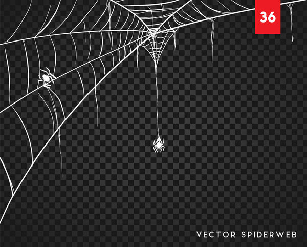 Cobweb для Хэллоуина дизайн, изолированный на черном фоне. Векторная иллюстрация
