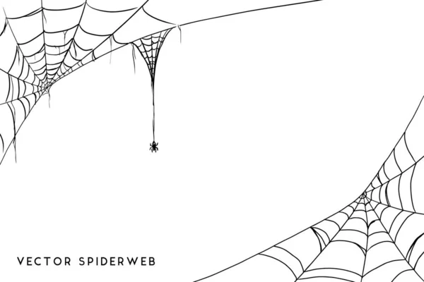 Beyaz zemin üzerinde bir Spiderweb vektör çizim