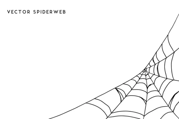 Vector Illustration Spiderweb White Background — Stock Vector