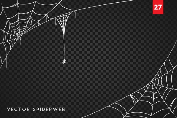 Cobweb Para Diseño Halloween Aislado Sobre Fondo Negro Ilustración Vectorial Ilustraciones de stock libres de derechos