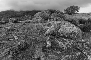 Extremadura Cabezabellosa
