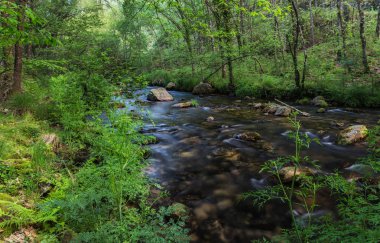 Garganta de Pedro Chate  in Jaraiz