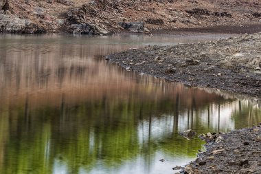 Orman Gabriel bataklık y Galan içinde yansıtıyordu. İspanya