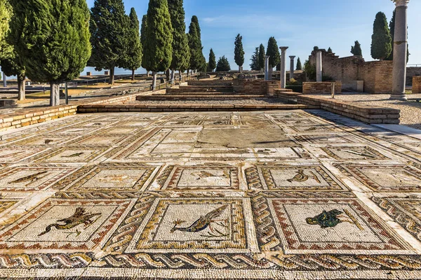 Italica, kuş evi. — Stok fotoğraf