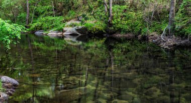 Garganta de Pedro Chate