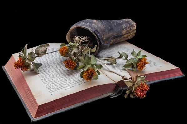 Virágok a régi könyv — Stock Fotó