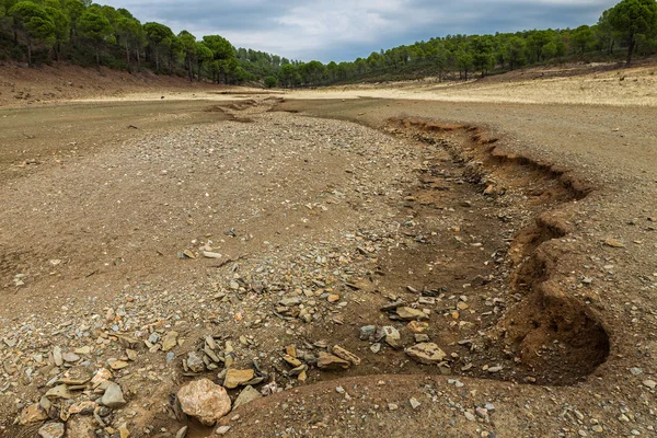 Cala seca en Granadilla — Foto de Stock