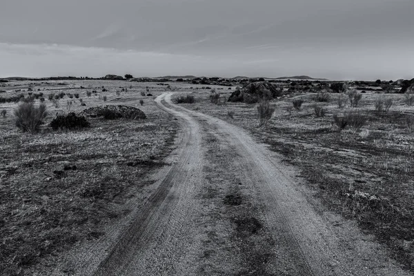 Camino tr el campo — Stok fotoğraf