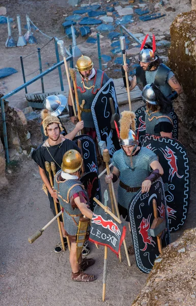 Ομότιμη Ludica στο Μέριντα — Φωτογραφία Αρχείου