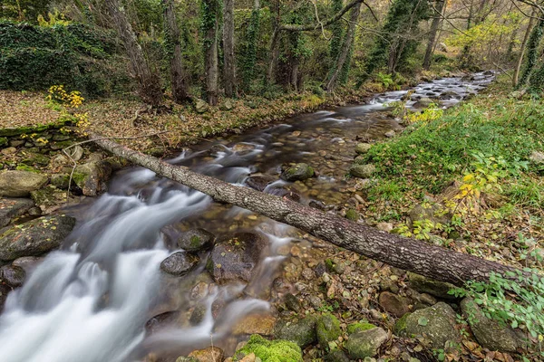 Garganta San Gregorio — Photo