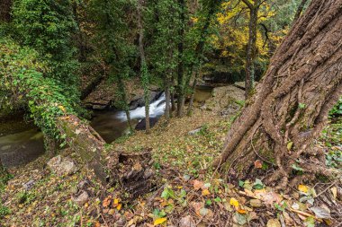Garganta San Gregorio