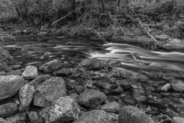 Garganta de Pedro Chate