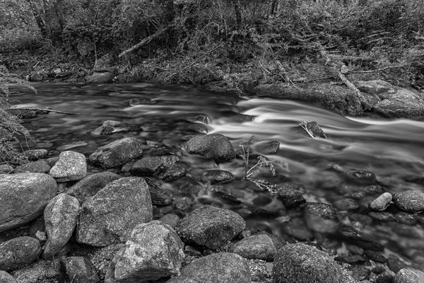 Garganta de Pedro Chate