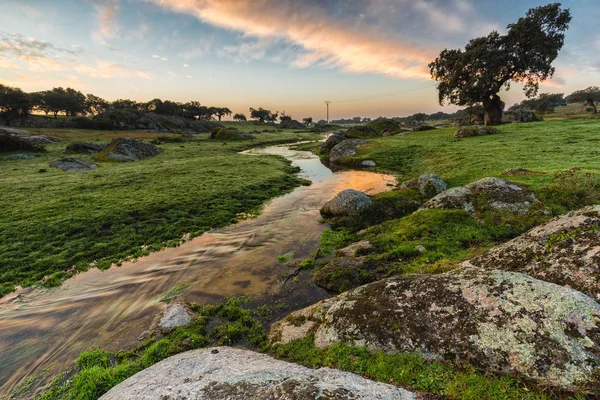 Amanecer en un arroyo cerca de Arroyo de la luz — Foto de Stock