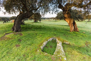 Landscape in Arroyo de la Luz