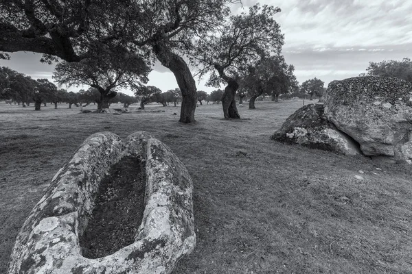 Paisaje en Arroyo de la Luz. España . — Foto de Stock