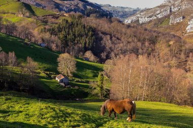 Cantabria vadilerde Pasiegos
