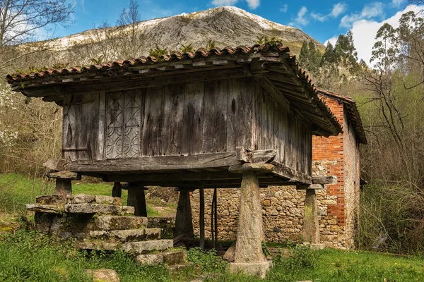 Horreo asturiano. Granero asturiano . — Foto de Stock