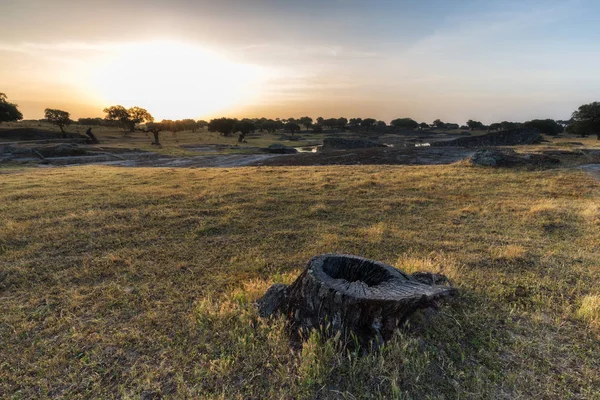 Arroyo de la Luz — Stok fotoğraf