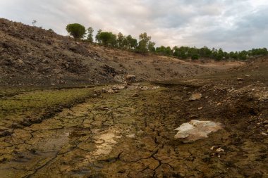 Extremadura 'daki Granadilla
