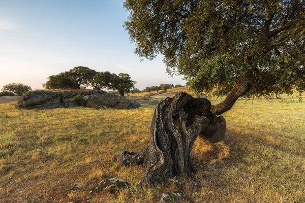 Arroyo de la Luz — Foto de Stock