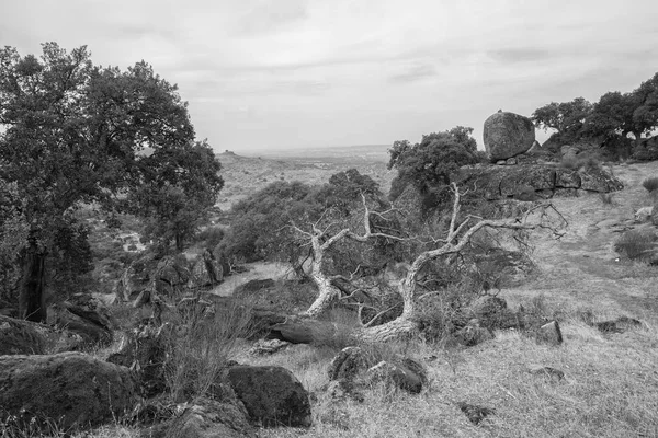 Valcorchero peyzaj. — Stok fotoğraf