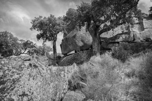 Plasencia Valcorchero