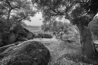 Valcorchero doğal alanında peyzaj