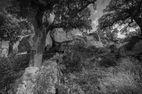 Plasencia Valcorchero