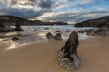 Llanes Beach'te Toro
