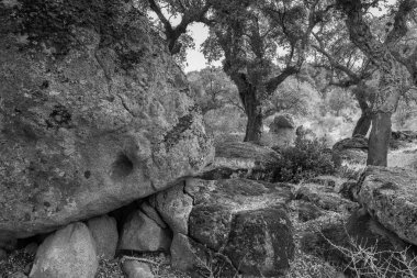 Plasencia Valcorchero