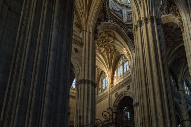 Cathedral of Salamanca clipart