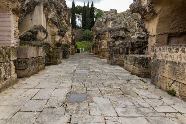 Italica — Stok fotoğraf