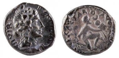 Sarı