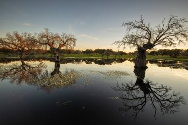 Arroyo de la Luz yakınlarındaki bir gölde gün batımı manzarası. Extremadura. İspanya.