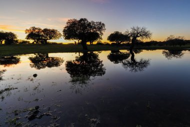 Arroyo de la Luz yakınlarındaki bir gölde gün batımı manzarası. Extremadura. İspanya.