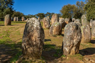 Almendres Cromlech. Portekiz 'deki Evora yakınlarında Megalitik Taş Çemberi. Kronoloji: IV-III milenyum.