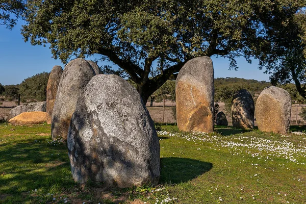 Vale Maria Meio Cromlech Círculo Piedra Megalítico Situado Cerca Evora — Foto de Stock