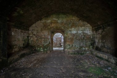 Santa Maria de Rioseco antik manastırı. Burgos. İspanya.