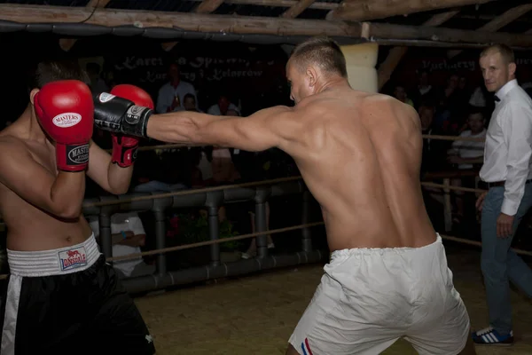 2014年8月8日 在达尔韦克镇 有一场波罗的海拳击表演Landowski Boxing 有天才拳击手参加 该活动由电视主持人Szymon Majewski主持 成功的拳击手Albert Sosnowski成为评委 — 图库照片