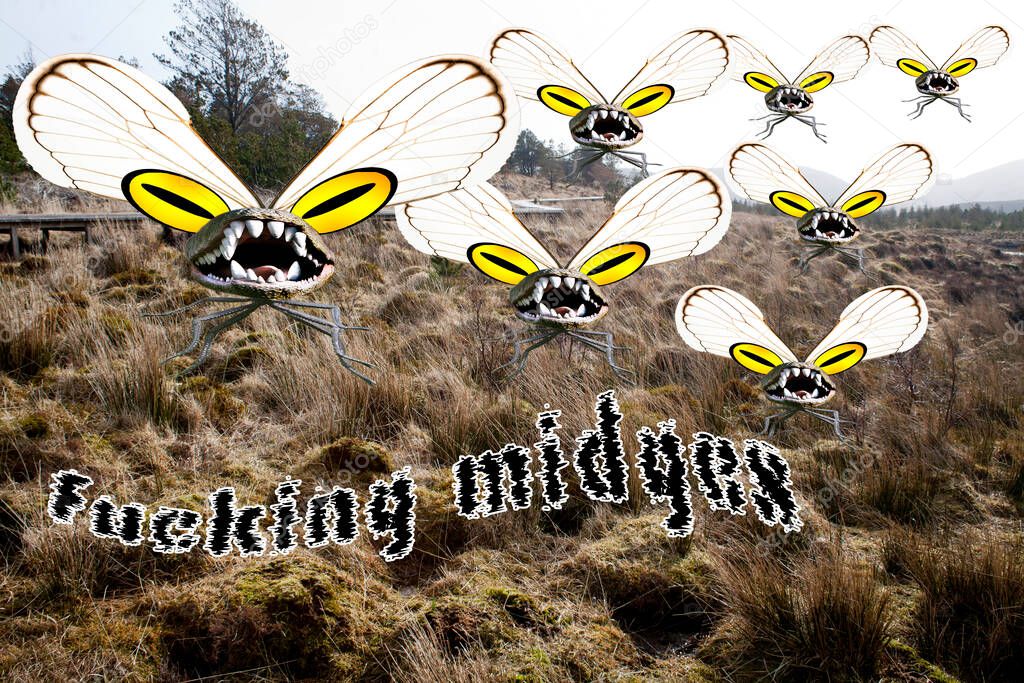  Midgie; Scottish Gaelic: Meanbh-chuileag) is a species of small flying insect, found across the Palearctic (throughout the British Isles, Scandinavia, other regions of Northern Europe, Russia and Northern China) in upland and lowland areas