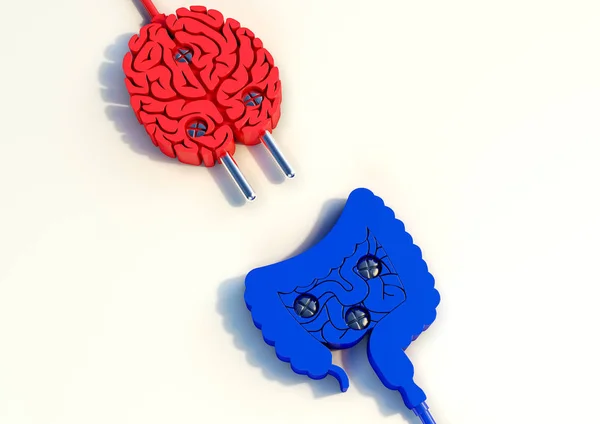 Eine Illustration Eines Steckers Mit Gehirn Darm Format Stockbild