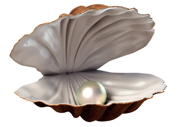 Illustration Seashell Pearl White Background Stock Photo